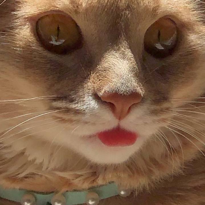 0cecf557 4f13 4845 bf20 cb48671df9ad 1553400297062