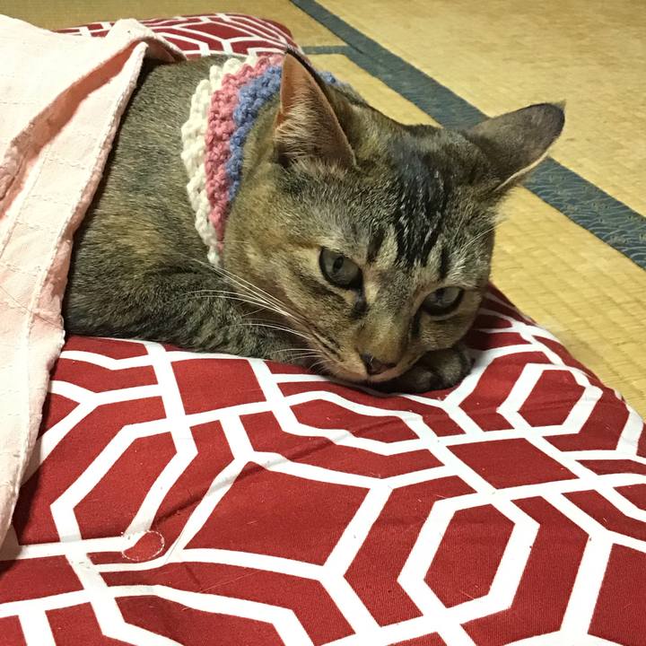 0ced645f 349d 4dcf 84cf 564aa6a29fa8 1617354212896