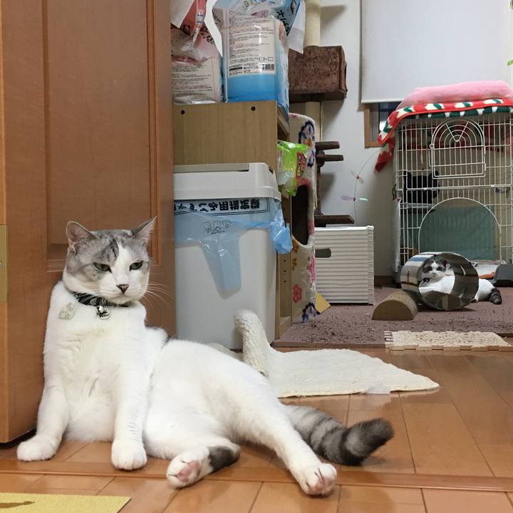 0ced7537 0ac7 4cca a33b ee58cf9b1d2b 1530699323275