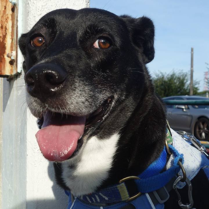 0cedf03b 59d6 498a a99d 1b18d7e19a65 1693354549915