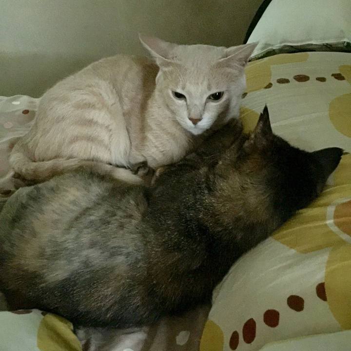 0cee0022 5593 44e5 8ea3 3eb6f63e38cf 1535670135087