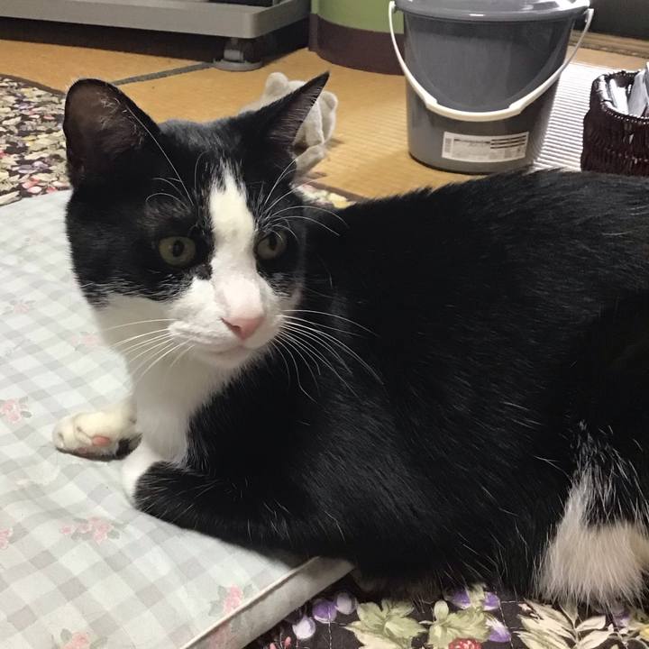 0cee055e d250 42e2 a8a3 a21a8a8f3790 1718448087272