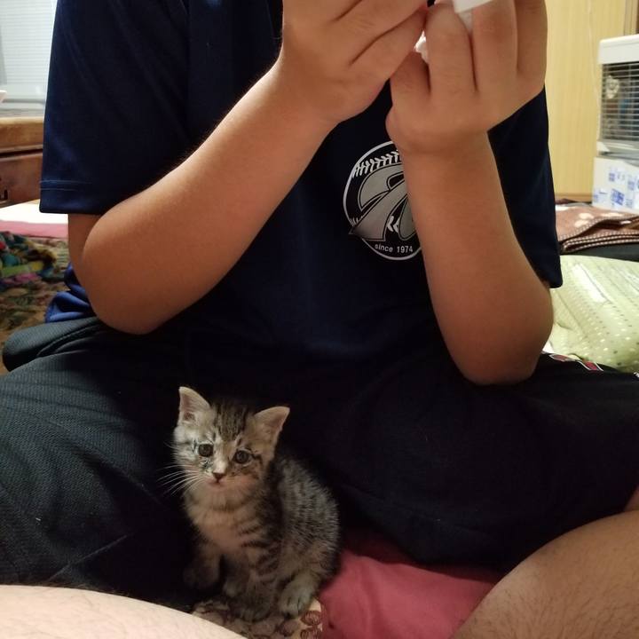 0cee205a 16c5 4422 8261 75b035dc0a35 1660575041811