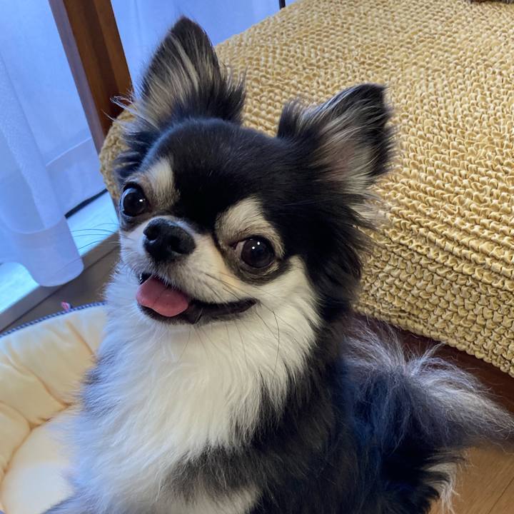 0cee2d08 ed1c 4c84 ad55 7e3b03e18937 1658582788001