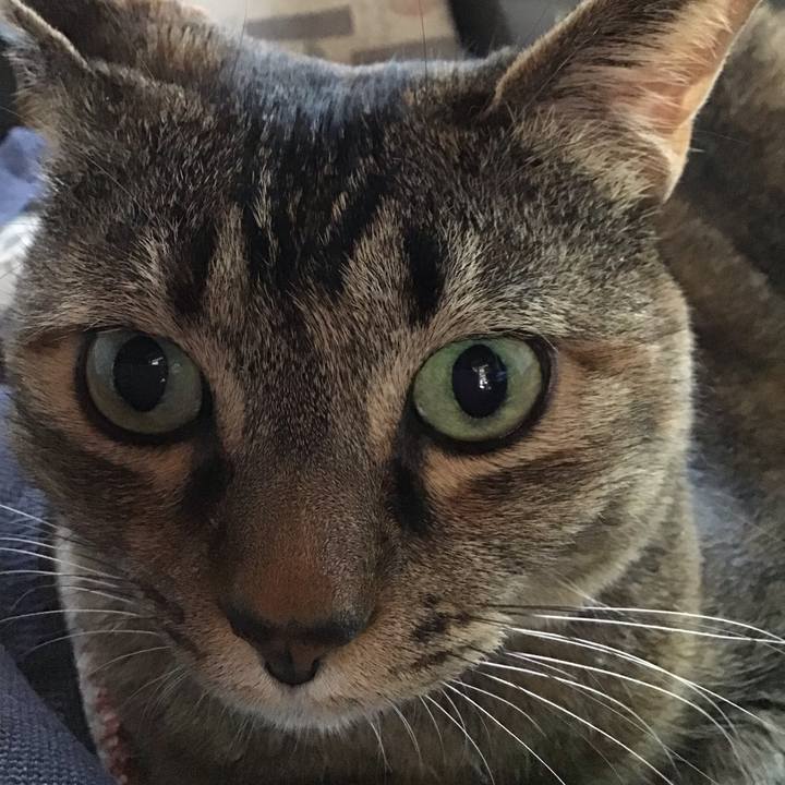 0cee4859 49d0 4a2e bcef e450ff652933 1747819451346