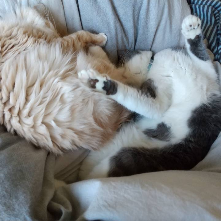 0cee51e3 251d 4435 8c88 7cd7d0d95b66 1646524391228