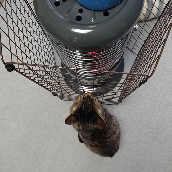 0cee7bbf bdc0 4c24 bb2e 8c72146d069c 1576907816314