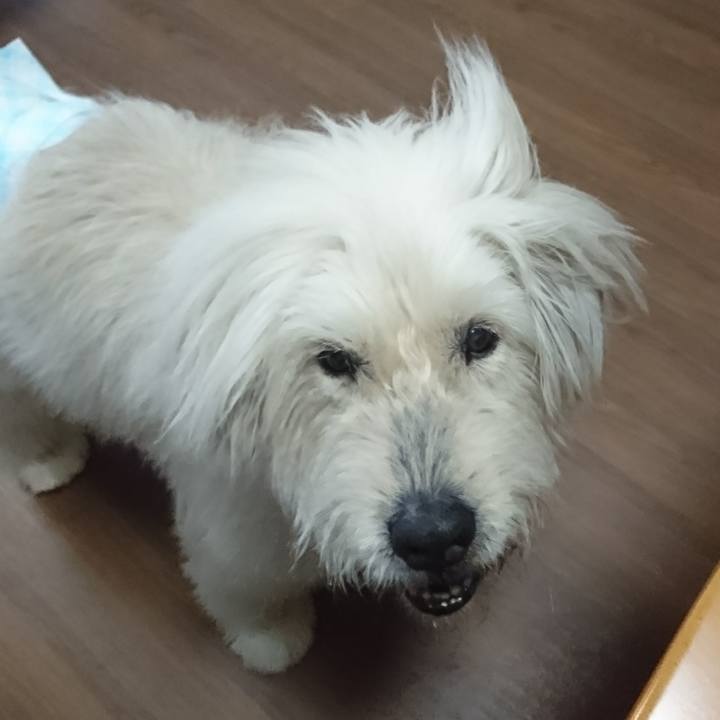 0cee7c3f 861a 4288 aa98 f93c8cf9935c 1585737200933