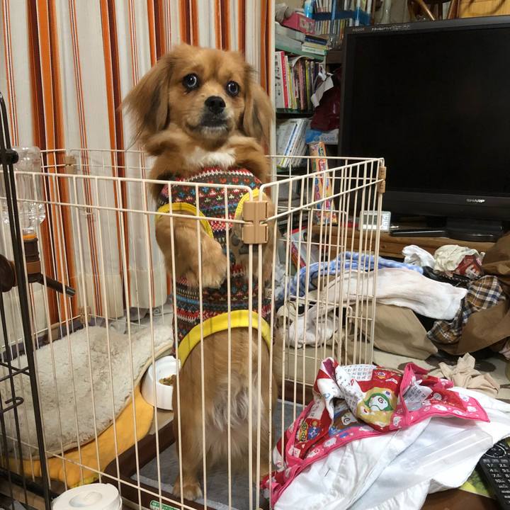 0ceebc0c 1c2c 4adc a1bd 0f21e439481e 1513200903012