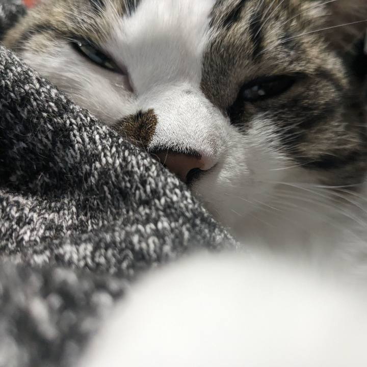 0ceef08c f100 496c aaed 837751dceaea 1710910828441