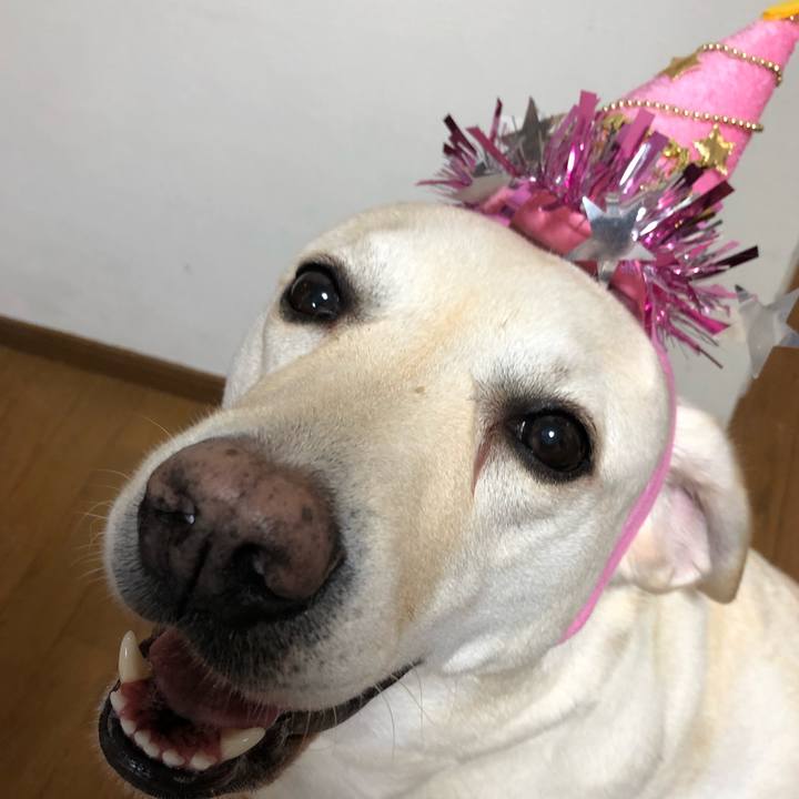 0cef0b05 b057 46a1 83f8 ff9c80241214 1604240770185