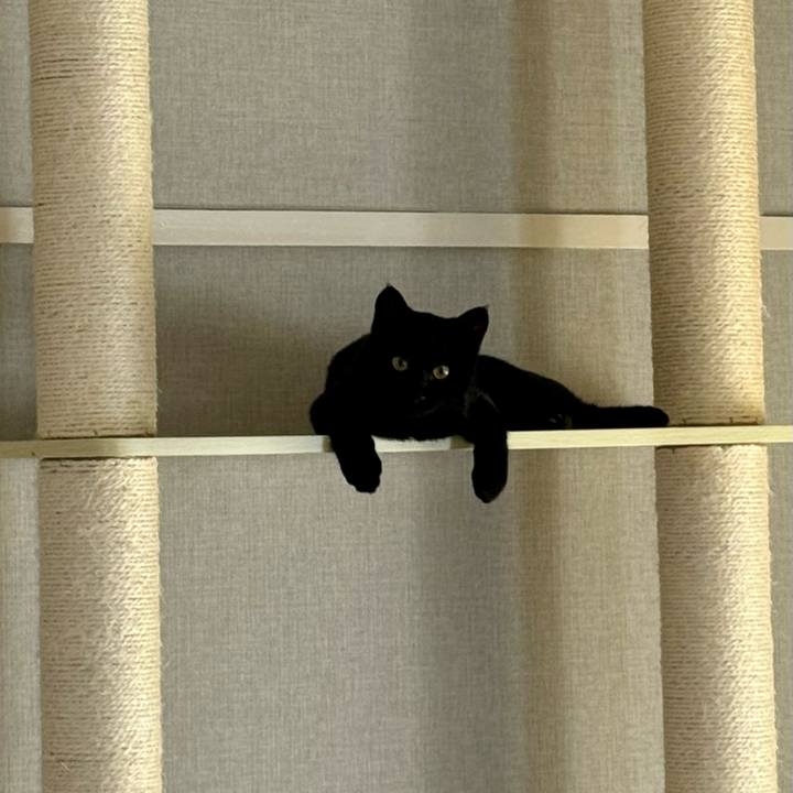 0cef232e 7022 42db ad6e 4f0f19d2e264 1731026661390