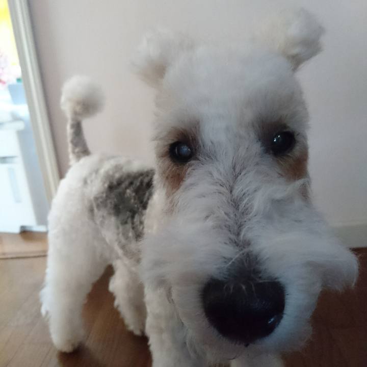 0cefc1b4 9e52 4913 a137 cfa43efb8d5a 1509847335136