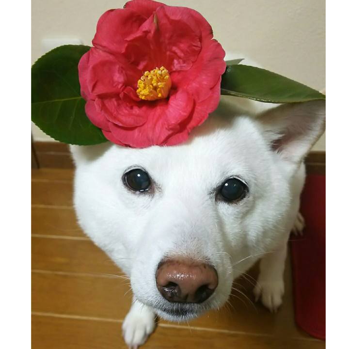 0cefc843 0836 40f9 96ce 5c59864b5f95 1583745876067