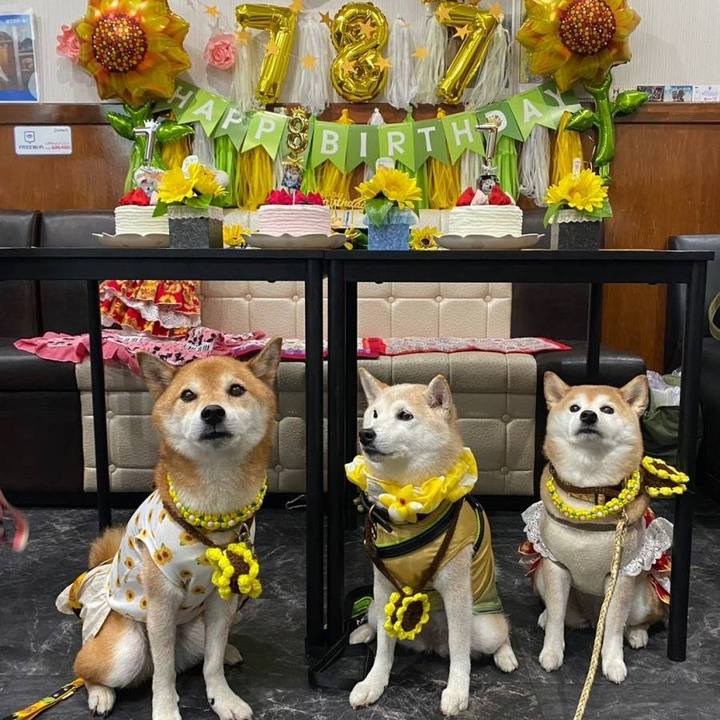 0ceff03d 3d88 4dac 8490 31ffc64d9384 1724561560243