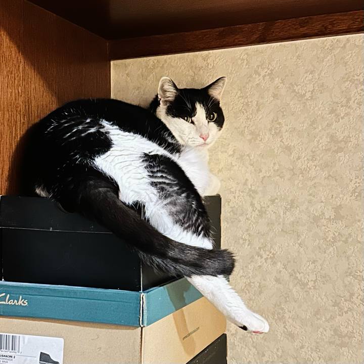 0cf00b8c 3a8d 4862 9921 6a9f5fcd3cf0 1713749607363