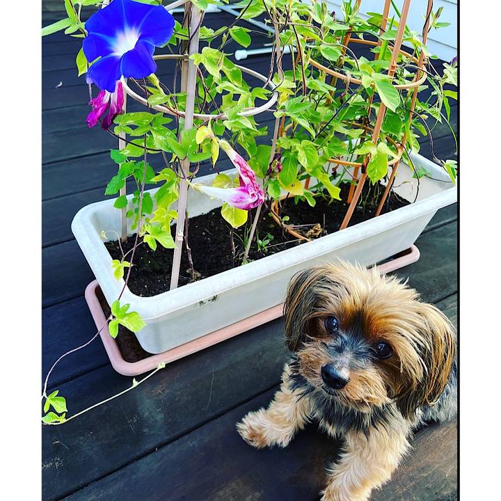 0cf066e6 6a92 4f88 8230 d6335f656c42 1691622093058