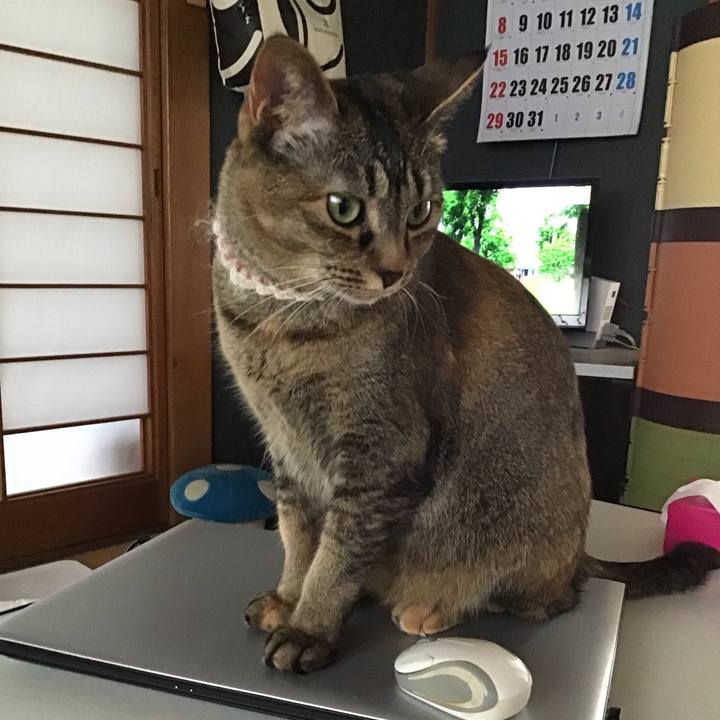 0cf07397 72ed 4ba9 9c60 41a803fc91a2 1653897787510