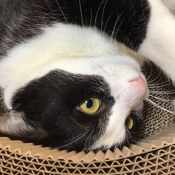 0cf10d8e 14ef 48b8 989b b04dd3ac36df 1734851007200