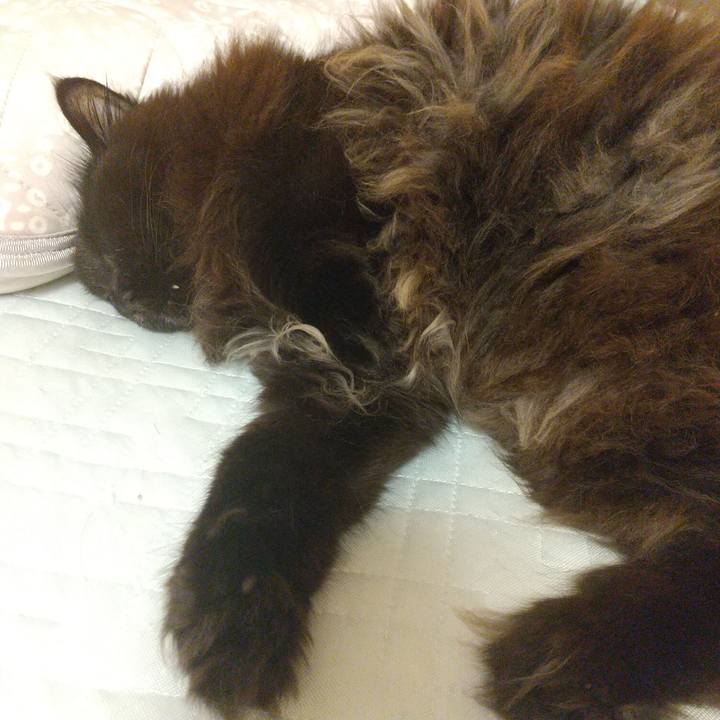 0cf11a45 f861 4b70 b1e5 e570952110c7 1687702019113