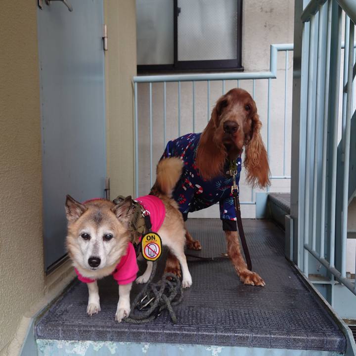 0cf12dcc 9b8c 46aa 9df1 c8582761b82d 1703895961758