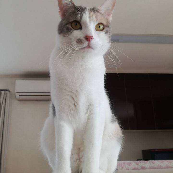 0cf132d3 4d74 4bd9 a2fa 96950f57facb 1522291340145