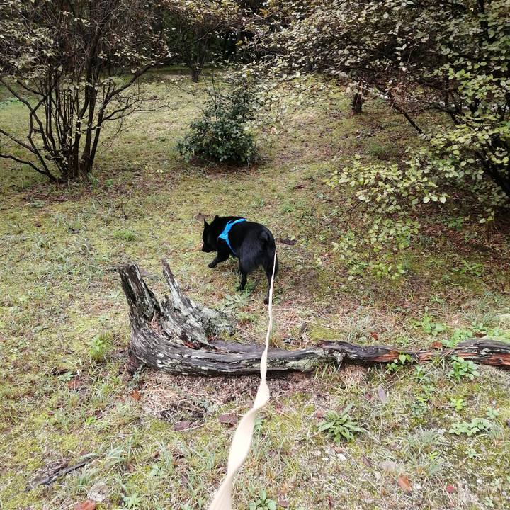 0cf1393f 89f9 4867 b103 fcb31ae9ef42 1602977562953