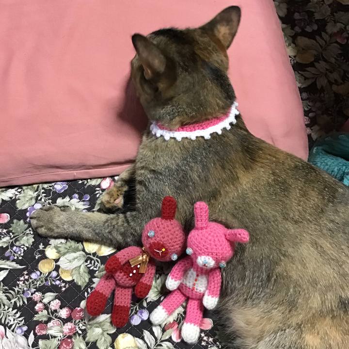 0cf14161 a2c4 4076 adb1 ec6c21371455 1592813325348