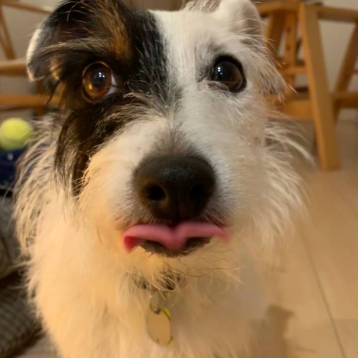 0cf17a72 3a38 4163 b6b3 e423030f6bc6 1571214813628