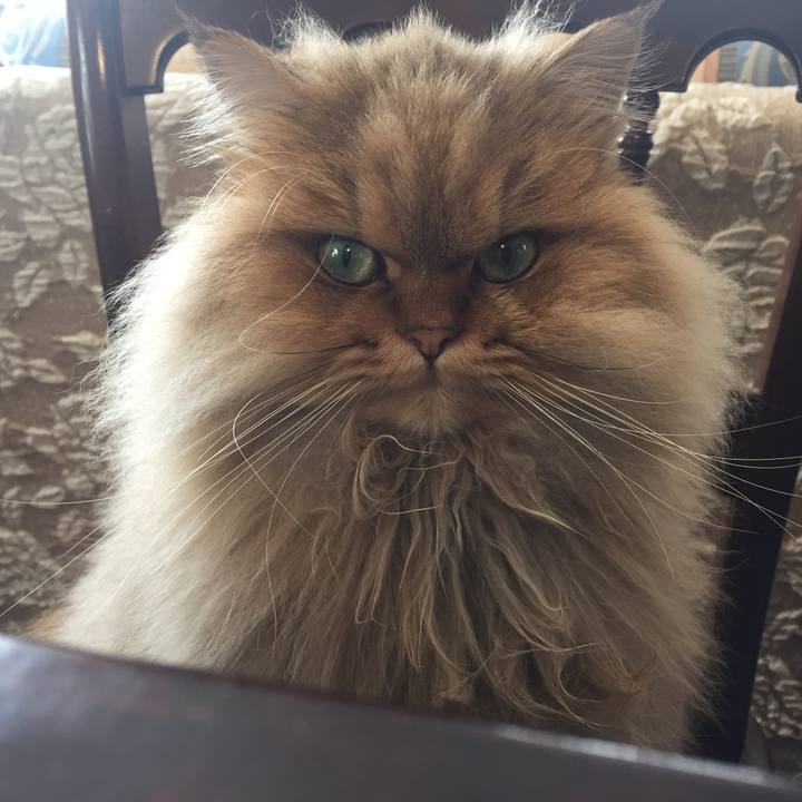 0cf1a13d fab8 40ef 9397 4b3307db79d4 1549517323045