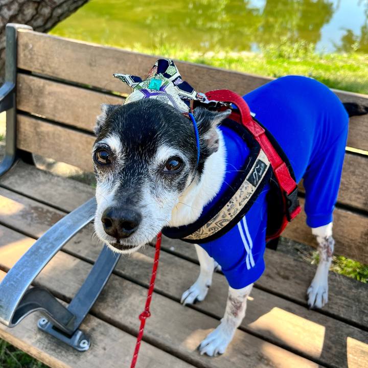 0cf1c632 89b9 4aa0 a81f b37c09f143db 1651573447351