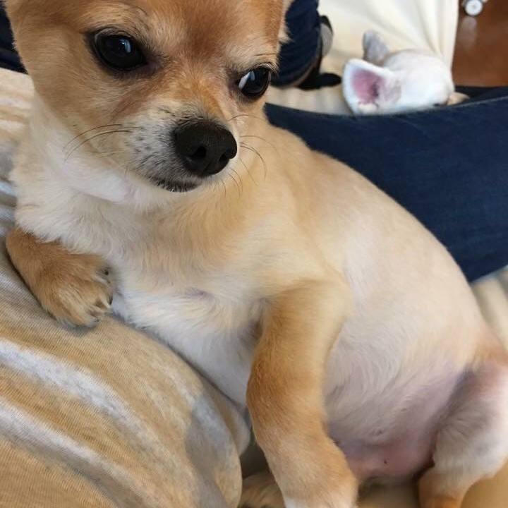 0cf1d1f6 4f35 4aed bfe2 464ac657e07a 1509171128773