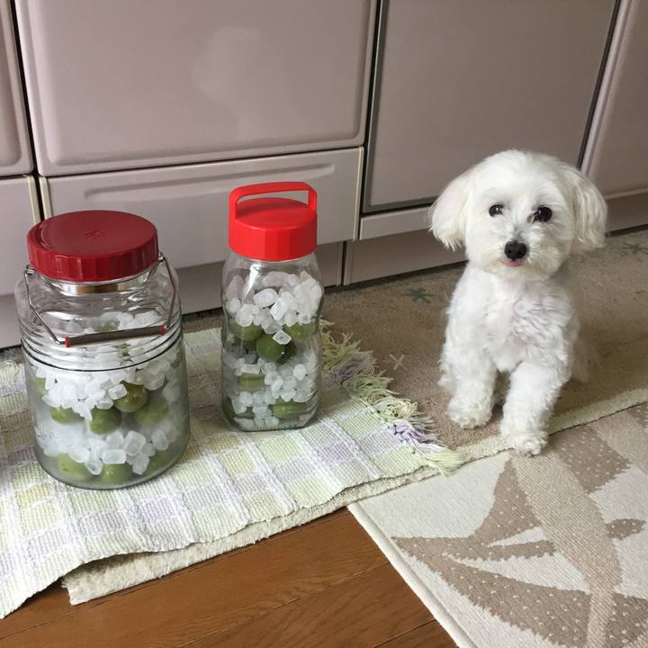 0cf1e69e 784f 43d8 b53b 4a32d08b5a27 1527405875584