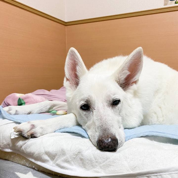 0cf1f771 4c7a 4df2 ae5a 183259076216 1642253780335