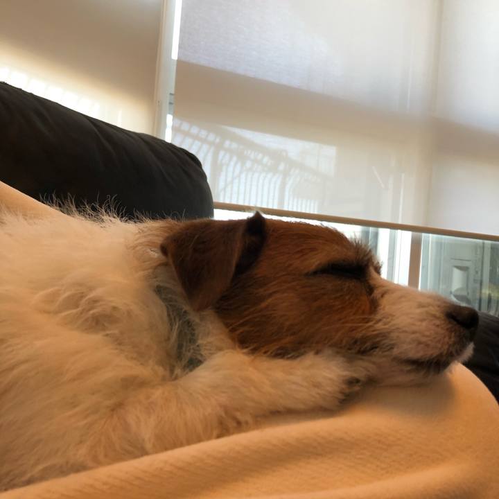 0cf2efe4 4539 4562 b77f 5fdec170a9fe 1577501710067