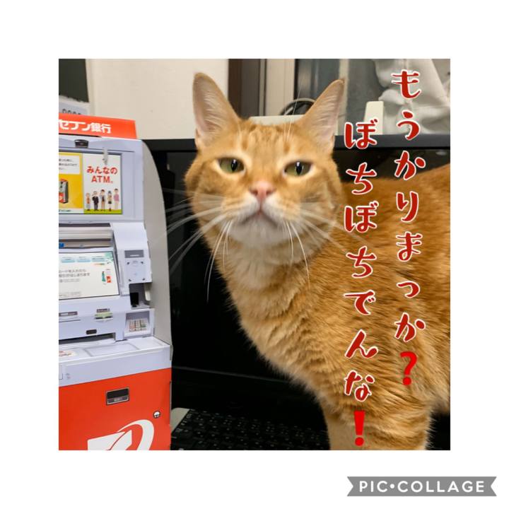 0cf315eb fb4c 4271 9998 21f3eb547d12 1578485823100