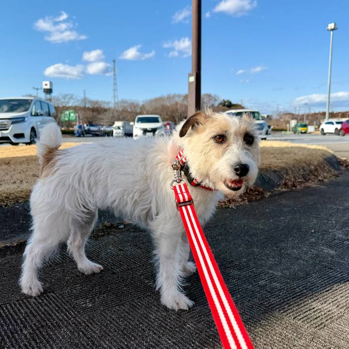 0cf31b36 82b7 4846 a41e 67a12a2f956f 1769951424158