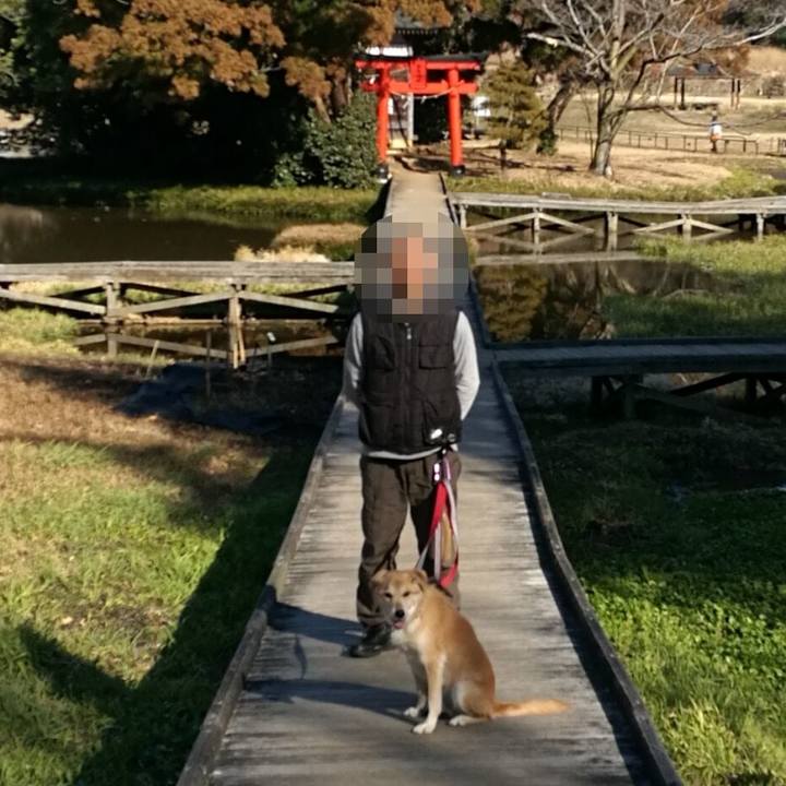 0cf355fa 3c71 4af0 9f26 785a1d54411f 1517731554405