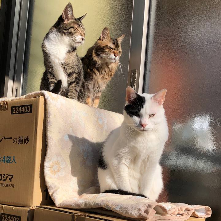 0cf36a8f e2df 4cbb a53c 62dbaea5e39f 1606007131896