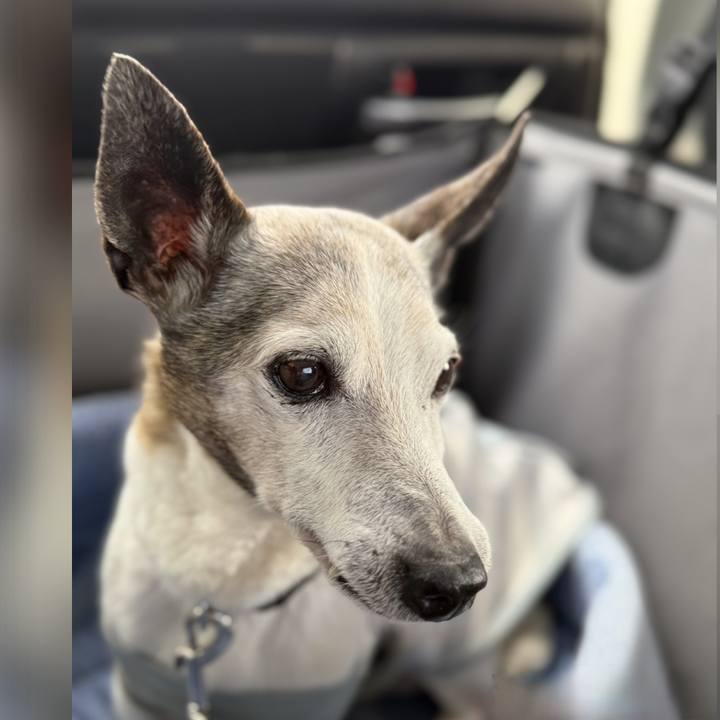 0cf37bd7 2fff 4e58 9432 1cecb0359070 1773418135753