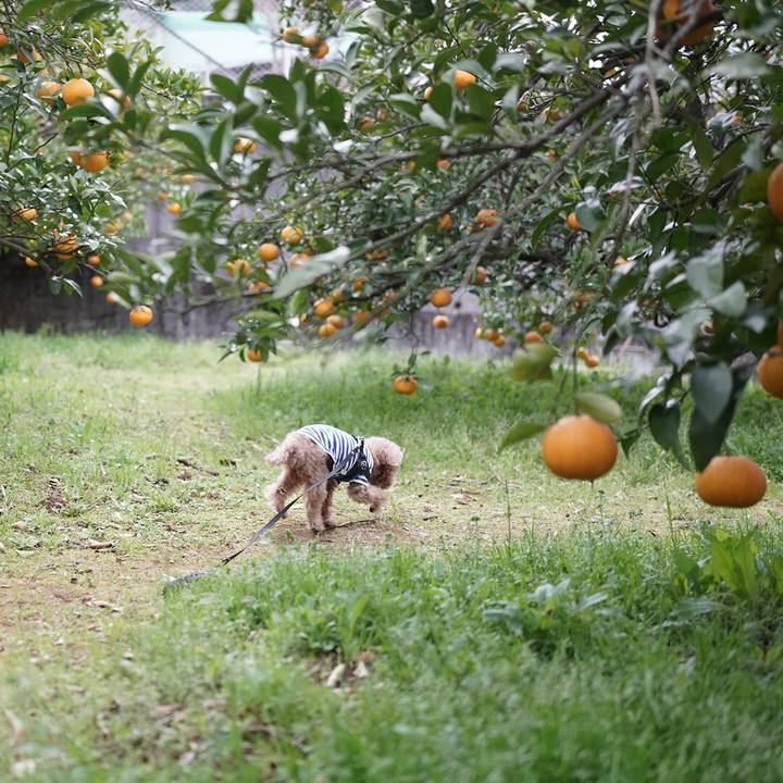 0cf3952d c447 4c89 9bb5 8ade056bca6e 1697253391016