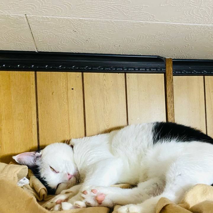 0cf3ba95 7db9 47ae ad32 aa396000a692 1663793978363