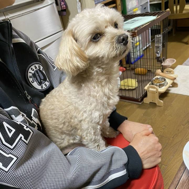 0cf3e864 2965 4e18 9558 2ba03e8dd7bd 1606041449380