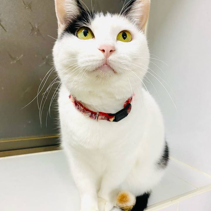 0cf43896 9f15 4994 b4f6 241f5a6034e7 1700304043076