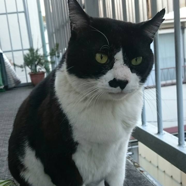 0cf47c62 2bf3 4bf6 b4e1 dfc46aaf604d 1510469533771