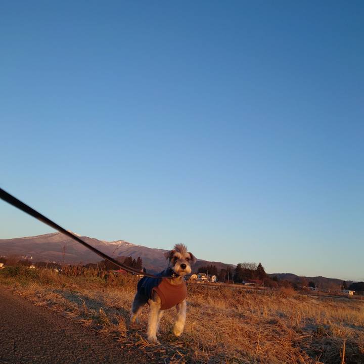 0cf4fcdf 22e5 4c35 bdb8 6a74ddb6e5da 1766442786688