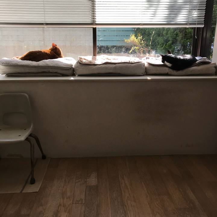 0cf506d1 9c5c 4d10 939b 96d6617ed15a 1513941865546