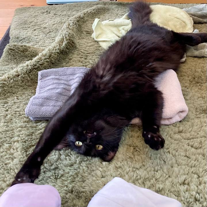 0cf5184b fc0a 439e a7d6 836dfa1cedb0 1744893582149