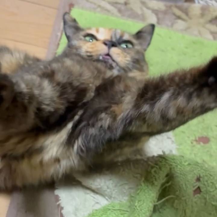 0cf54ee6 509b 4dc1 a3cd d6d774d57cac 1747594638863