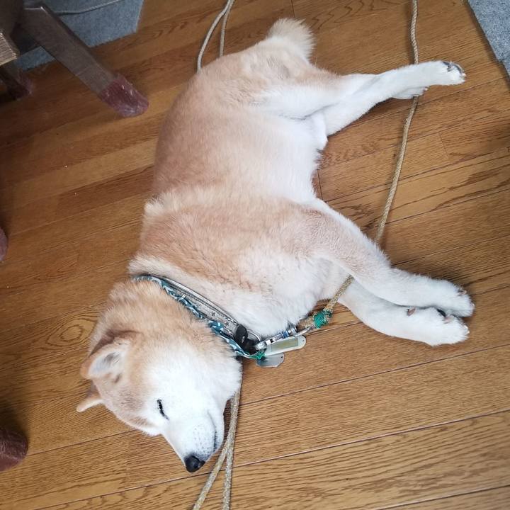 0cf574b3 7f84 49cb 8583 f0557c08dfb9 1705798970872